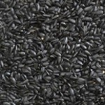 Black oil Sunflower Seeds